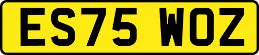 ES75WOZ