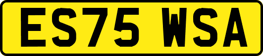 ES75WSA