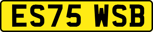 ES75WSB