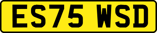 ES75WSD