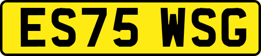 ES75WSG