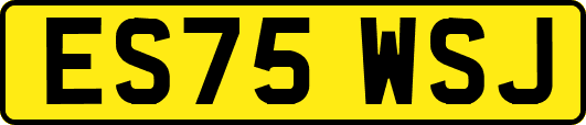 ES75WSJ