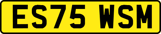 ES75WSM