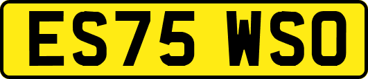 ES75WSO