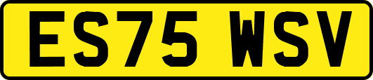ES75WSV