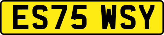 ES75WSY
