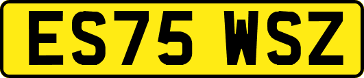 ES75WSZ