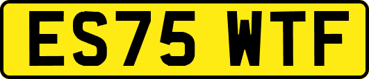 ES75WTF