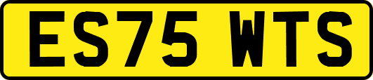 ES75WTS