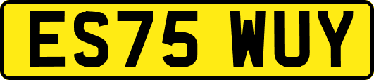 ES75WUY