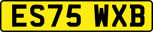 ES75WXB