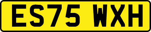 ES75WXH