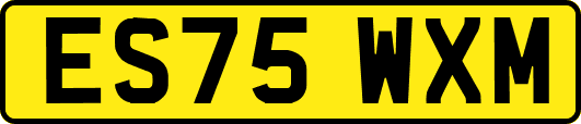 ES75WXM