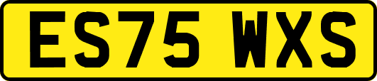 ES75WXS