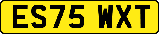 ES75WXT