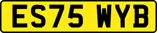ES75WYB