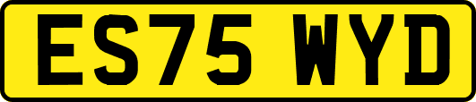 ES75WYD