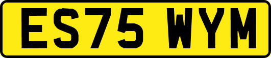 ES75WYM
