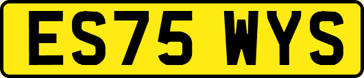 ES75WYS