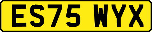 ES75WYX