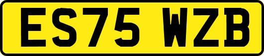 ES75WZB