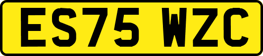 ES75WZC