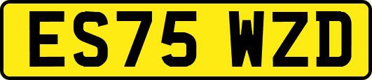 ES75WZD