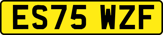 ES75WZF