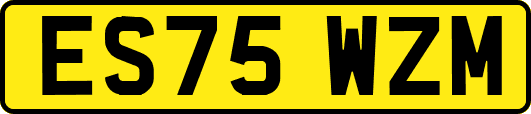 ES75WZM