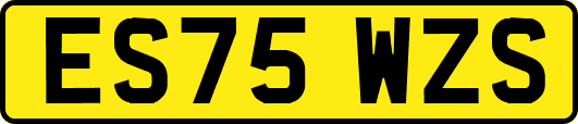 ES75WZS
