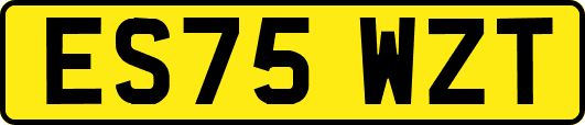 ES75WZT