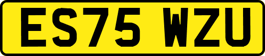ES75WZU