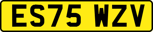 ES75WZV