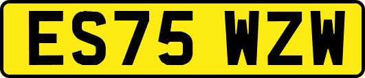 ES75WZW