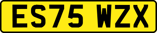 ES75WZX