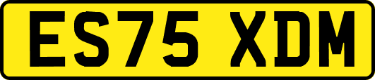 ES75XDM
