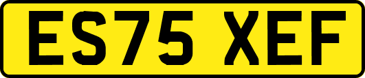 ES75XEF