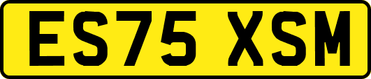 ES75XSM