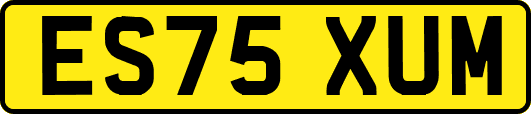 ES75XUM