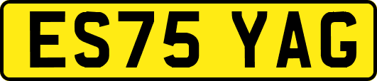 ES75YAG