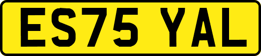 ES75YAL
