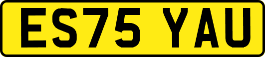 ES75YAU