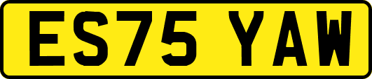 ES75YAW