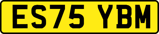 ES75YBM