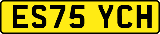 ES75YCH
