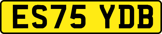 ES75YDB