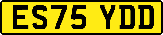 ES75YDD