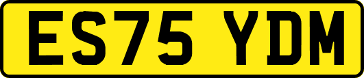 ES75YDM