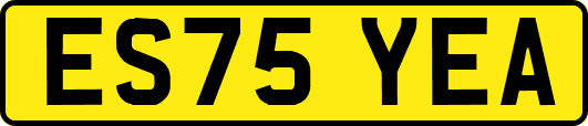 ES75YEA