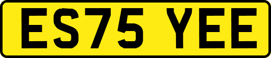 ES75YEE
